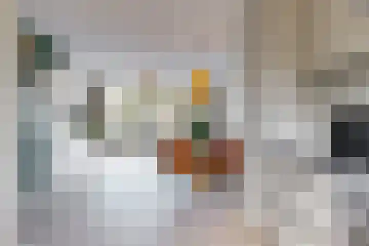 Terwiel 23 Limmen thumbnail 18