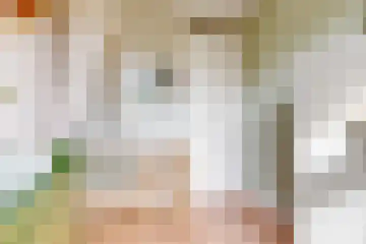 Terwiel 23 Limmen thumbnail 25