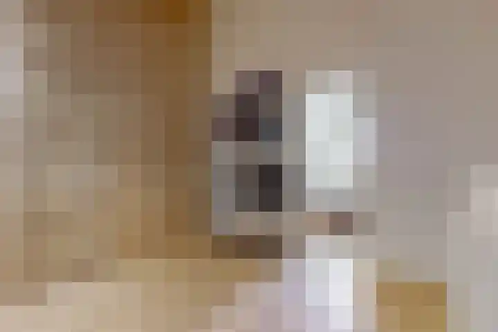 Terwiel 23 Limmen thumbnail 35