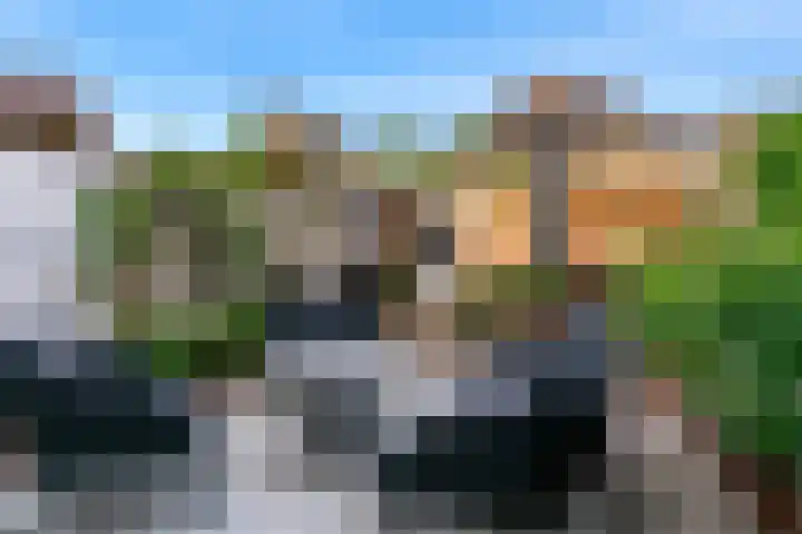 Terwiel 23 Limmen thumbnail 4