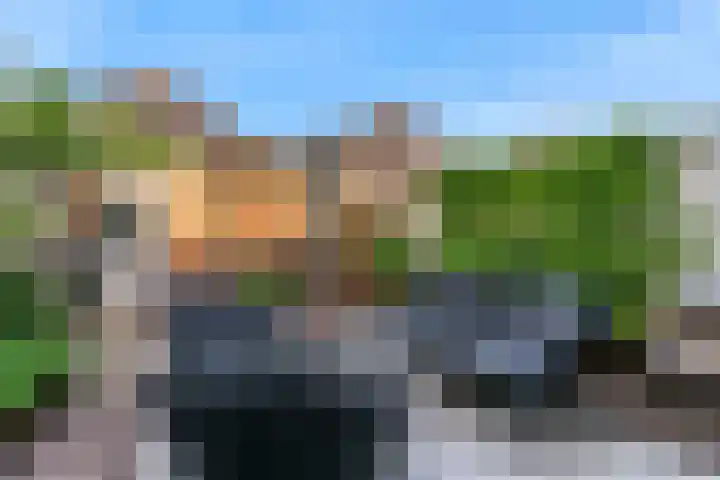 Terwiel 23 Limmen thumbnail 40