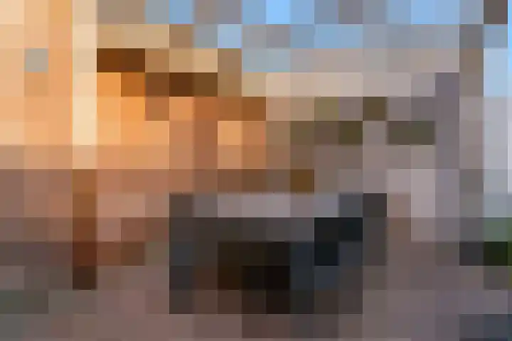 Terwiel 23 Limmen thumbnail 41