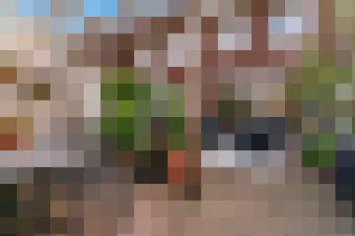 Terwiel 23 Limmen thumbnail 42