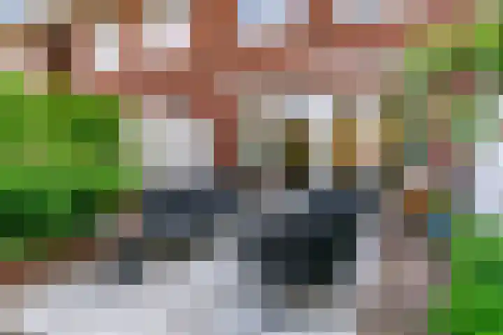 Terwiel 23 Limmen thumbnail 43