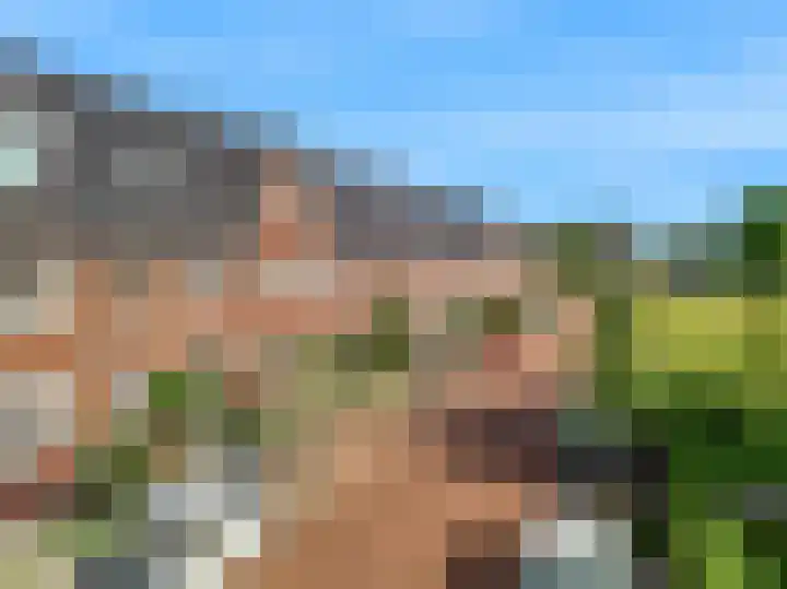 Terwiel 23 Limmen thumbnail 46