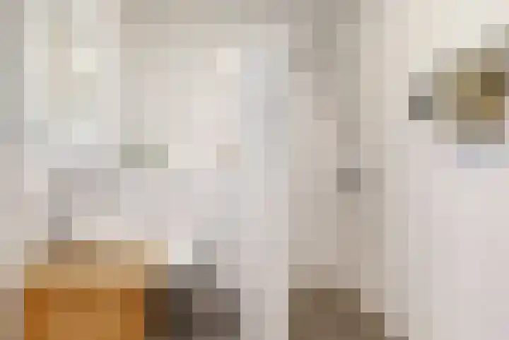 Terwiel 29 Limmen thumbnail 17