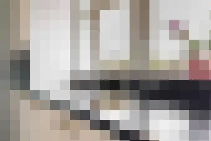Terwiel 3 Limmen thumbnail 13