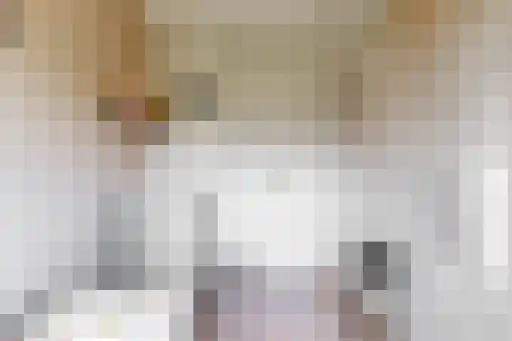 Terwiel 3 Limmen thumbnail 20