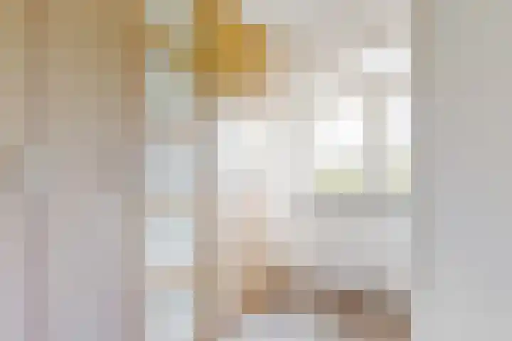 Terwiel 3 Limmen thumbnail 21