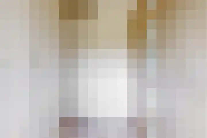 Terwiel 3 Limmen thumbnail 22