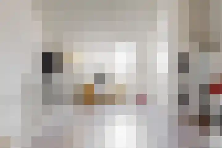 Terwiel 3 Limmen thumbnail 26
