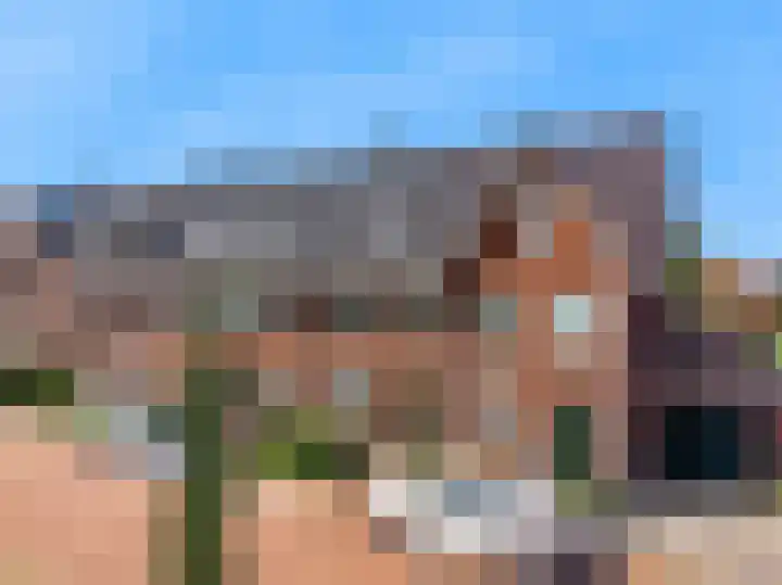 Terwiel 3 Limmen thumbnail 32