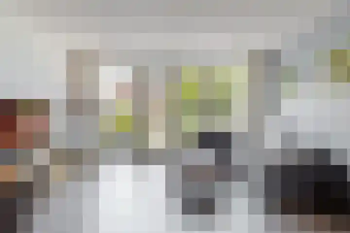 Terwiel 3 Limmen thumbnail 7