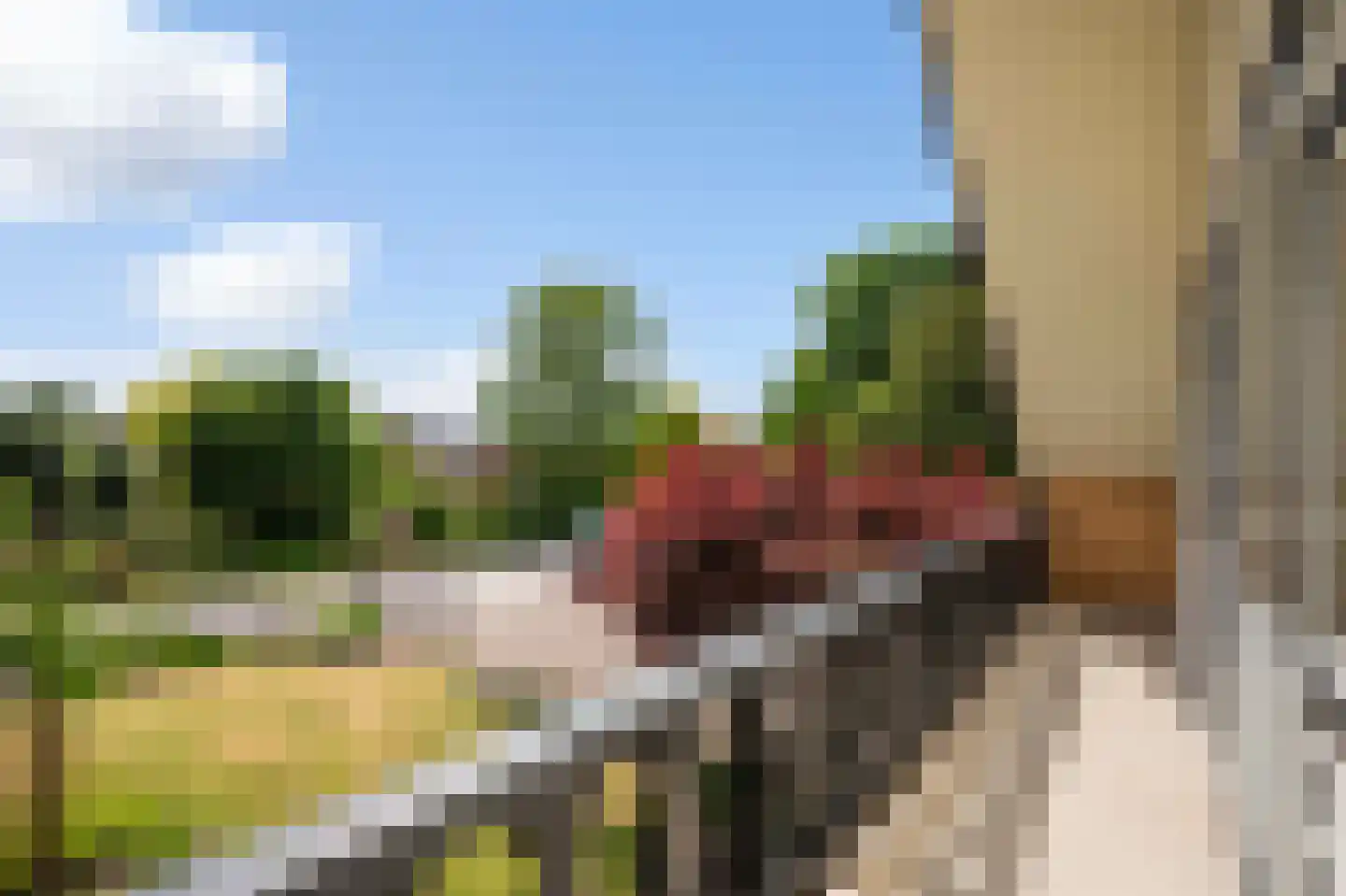 Terwoldseweg 5 Apeldoorn thumbnail 20