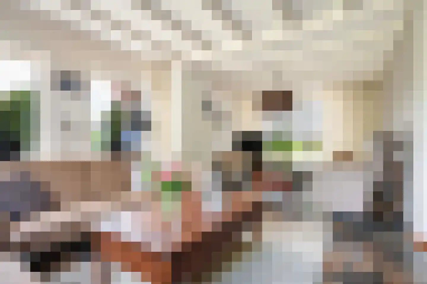 Terwoldseweg 5 Apeldoorn thumbnail 5