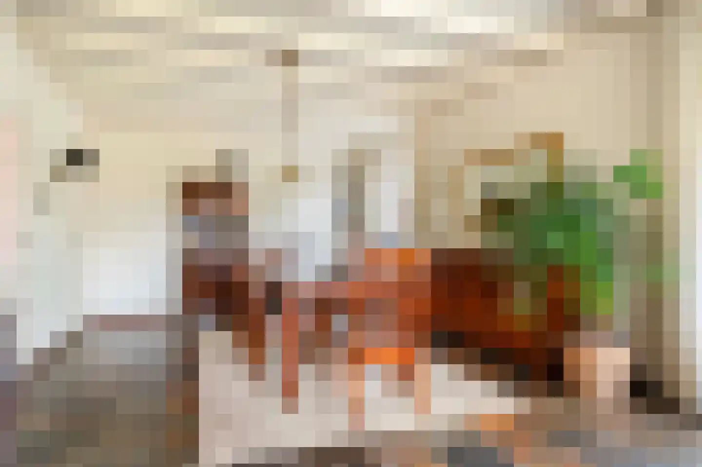 Terwoldseweg 5 Apeldoorn thumbnail 8