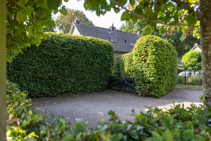 Terwoldseweg 82 Apeldoorn thumbnail 13