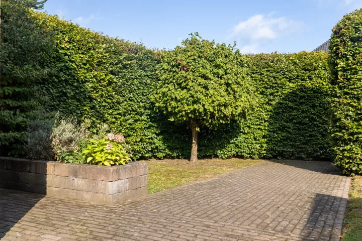Terwoldseweg 82 Apeldoorn thumbnail 6
