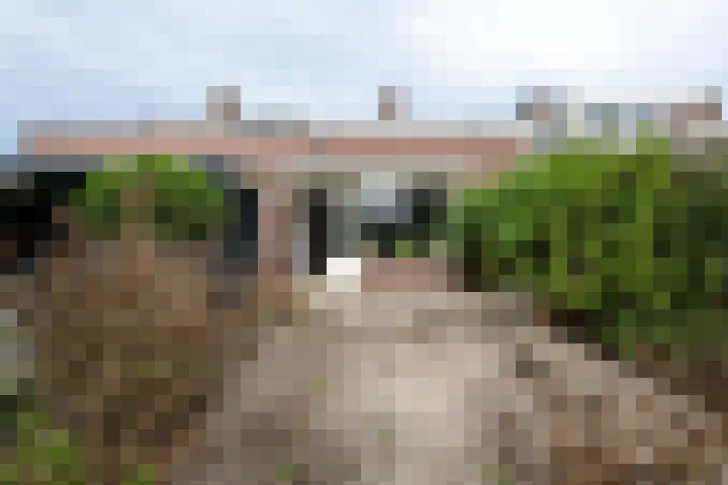 Terworm 22 Haarlem thumbnail 10
