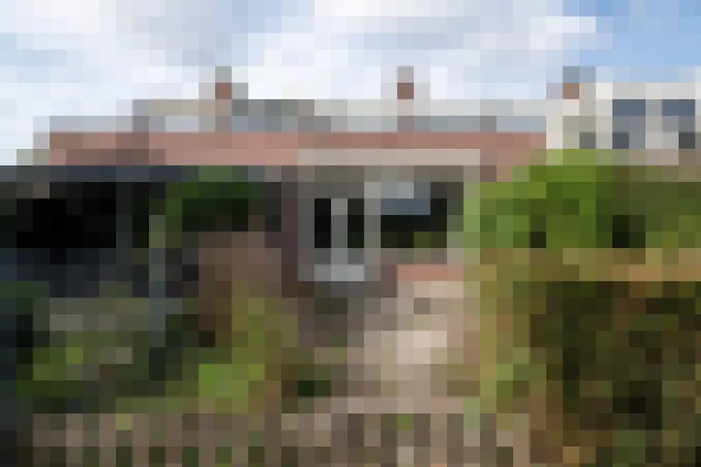 Terworm 22 Haarlem thumbnail 11