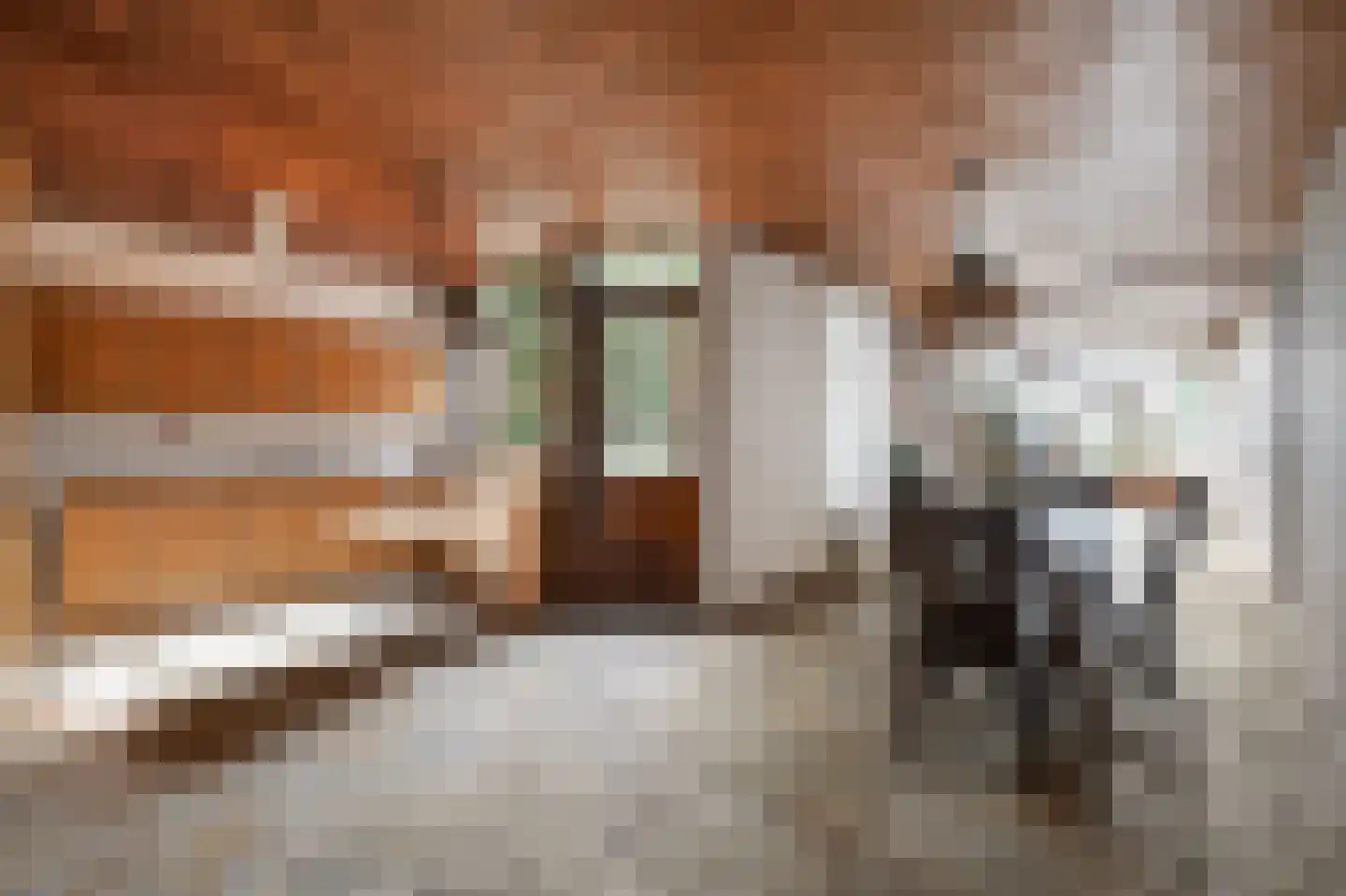 Terworm 22 Haarlem thumbnail 13