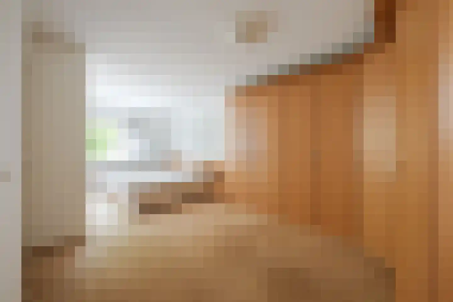 Terworm 22 Haarlem thumbnail 22