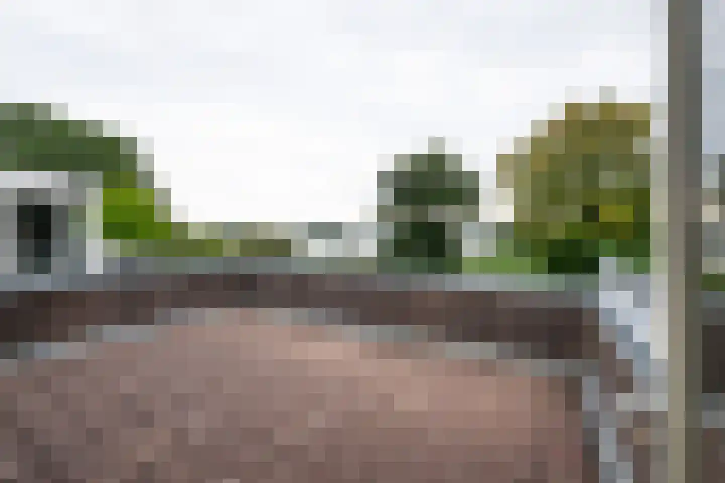 Terworm 22 Haarlem thumbnail 25