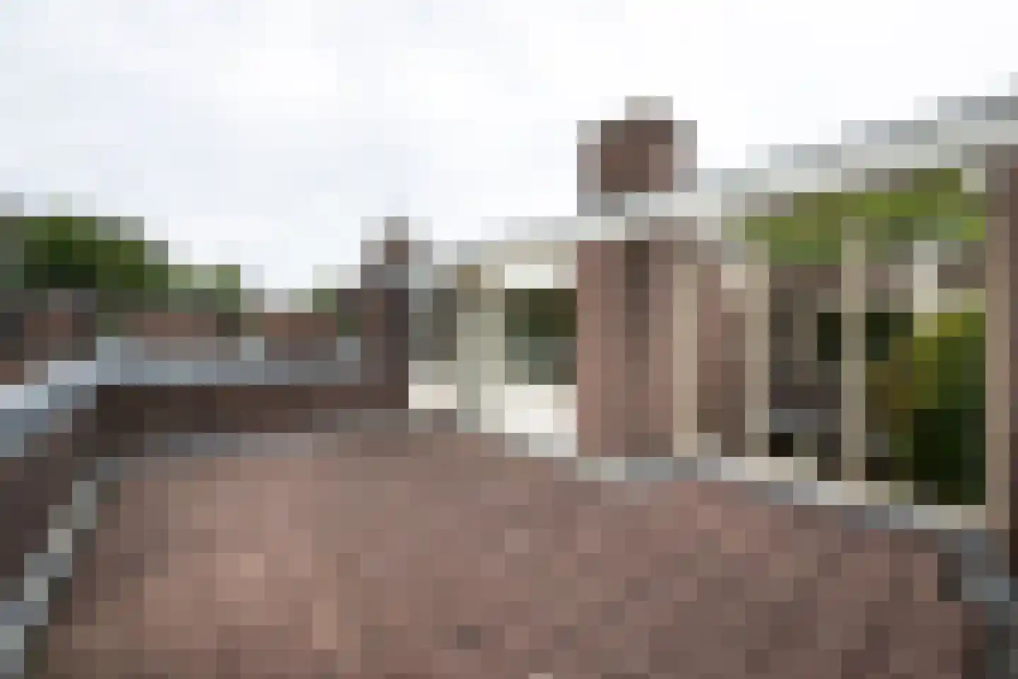 Terworm 22 Haarlem thumbnail 26