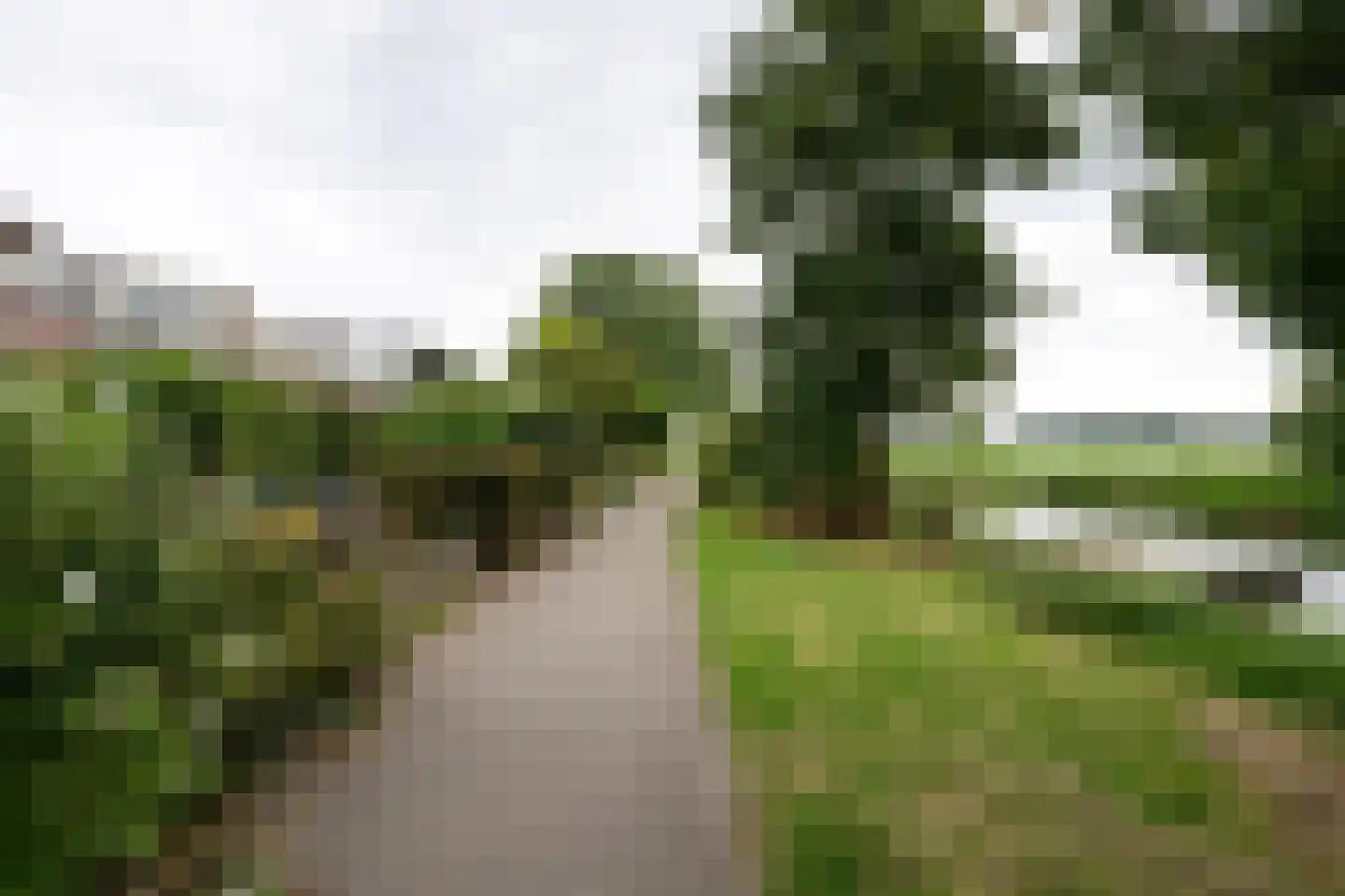 Terworm 22 Haarlem thumbnail 32