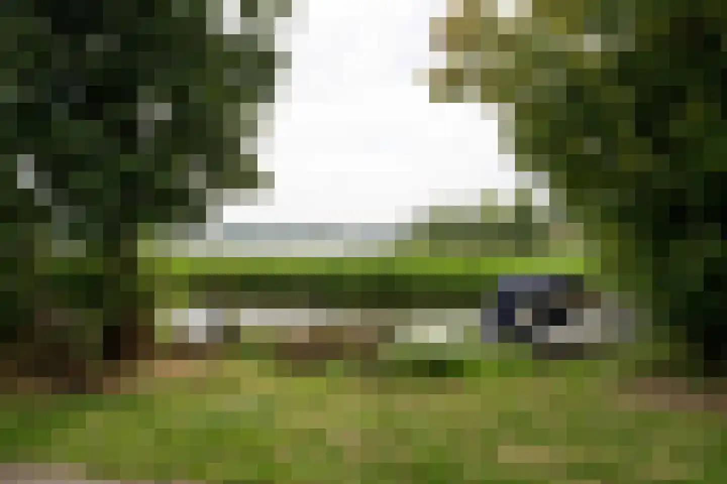 Terworm 22 Haarlem thumbnail 33