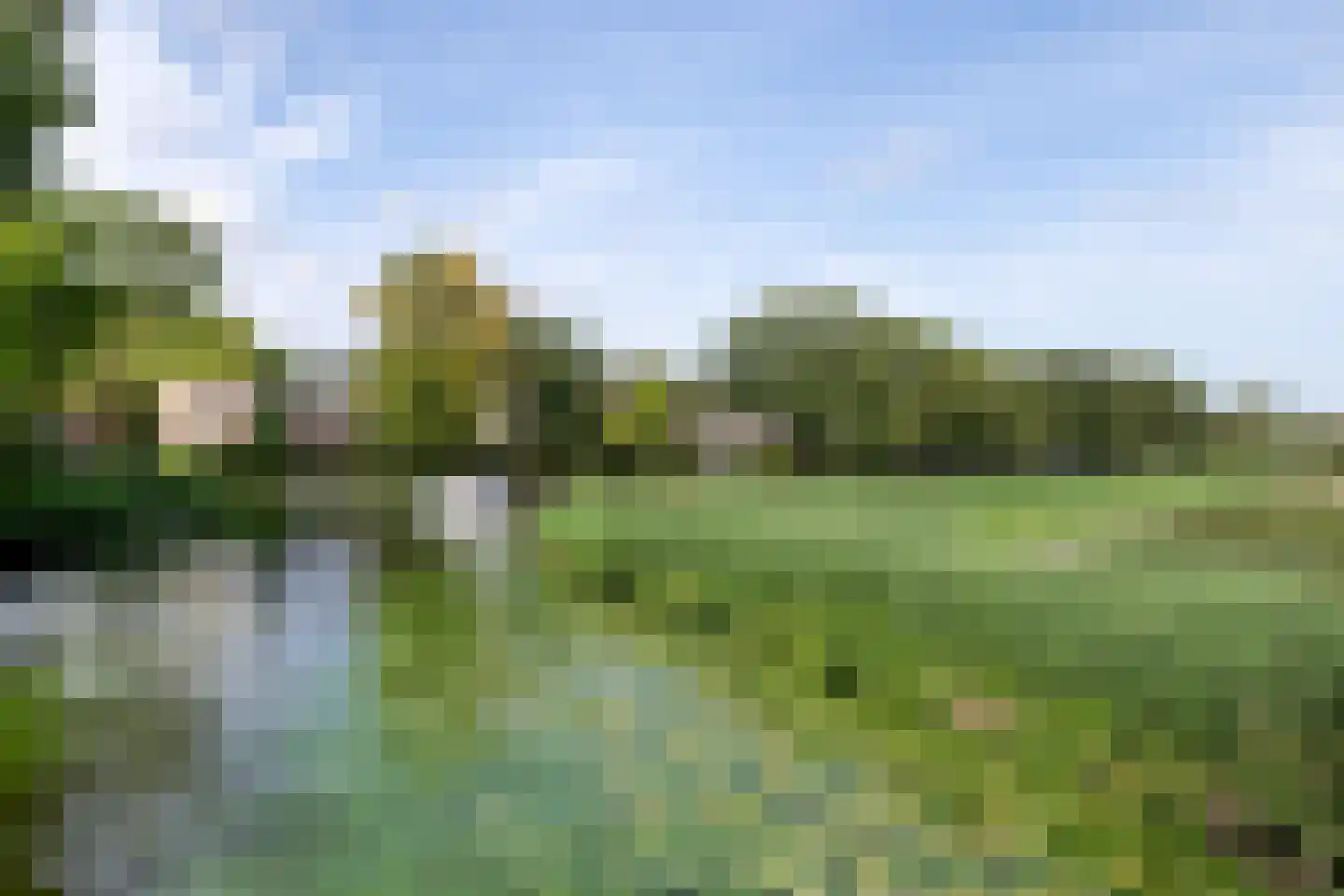 Terworm 22 Haarlem thumbnail 34