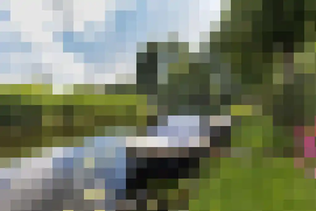 Terworm 22 Haarlem thumbnail 35
