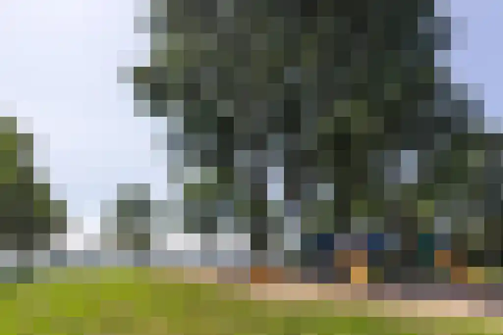 Terworm 22 Haarlem thumbnail 39