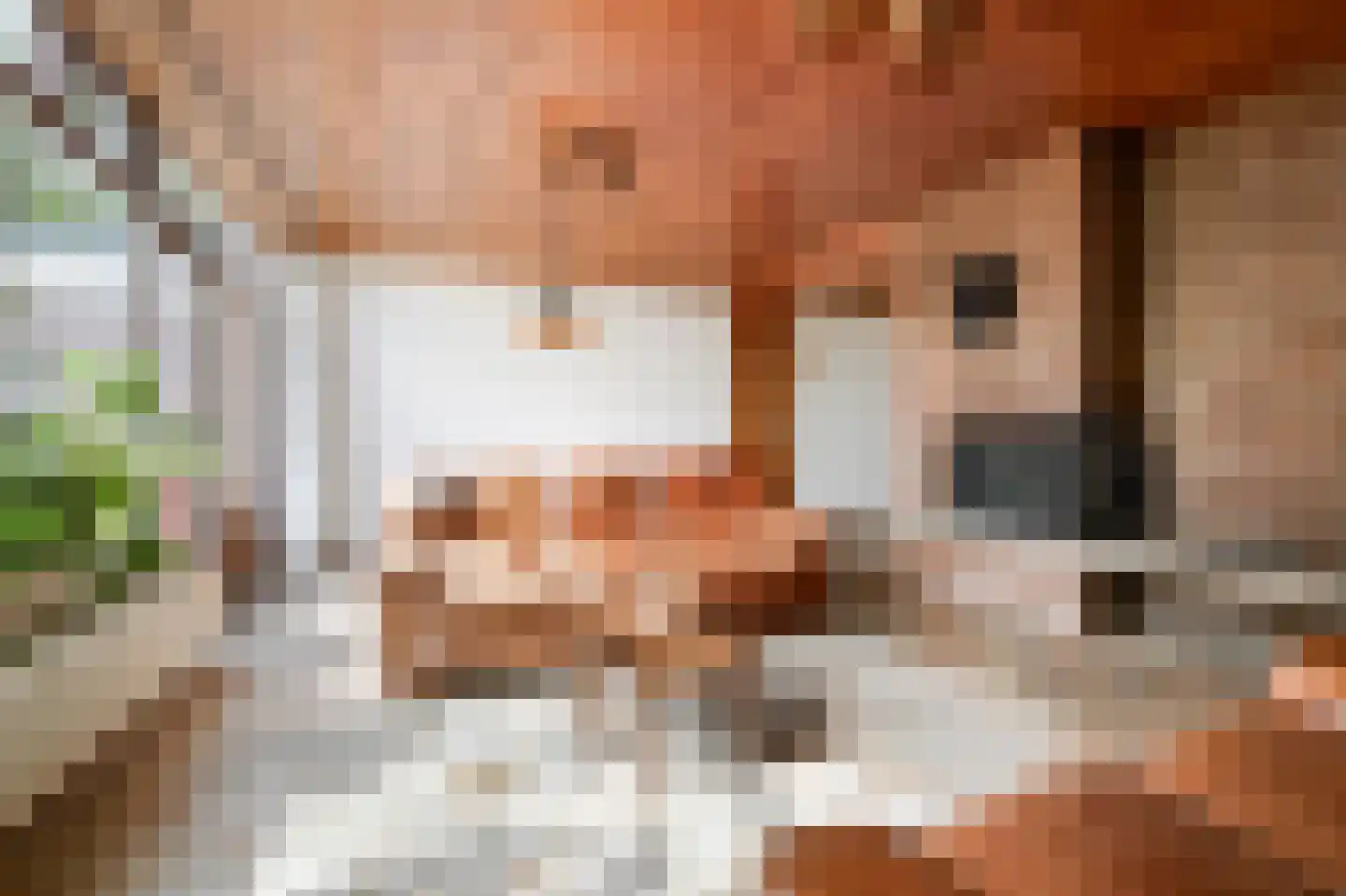Terworm 22 Haarlem thumbnail 4