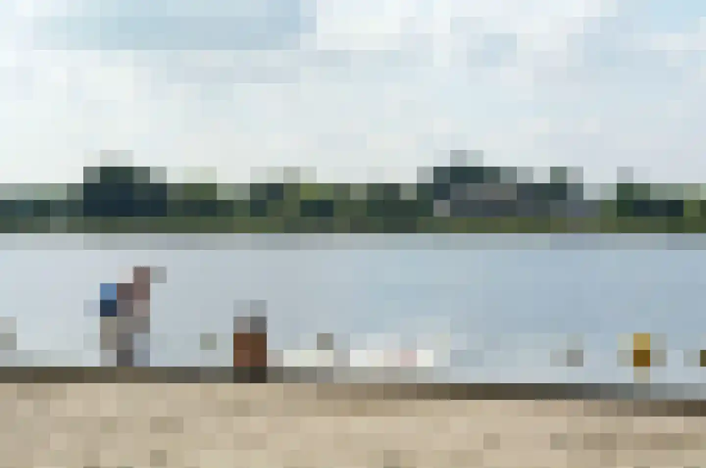 Terworm 22 Haarlem thumbnail 40