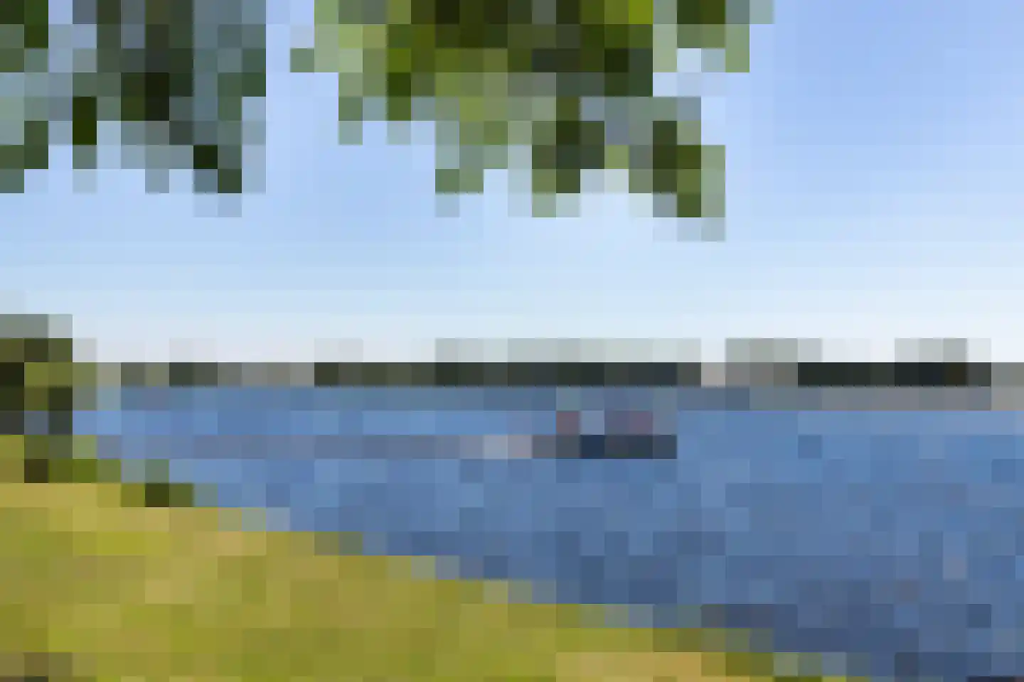 Terworm 22 Haarlem thumbnail 41