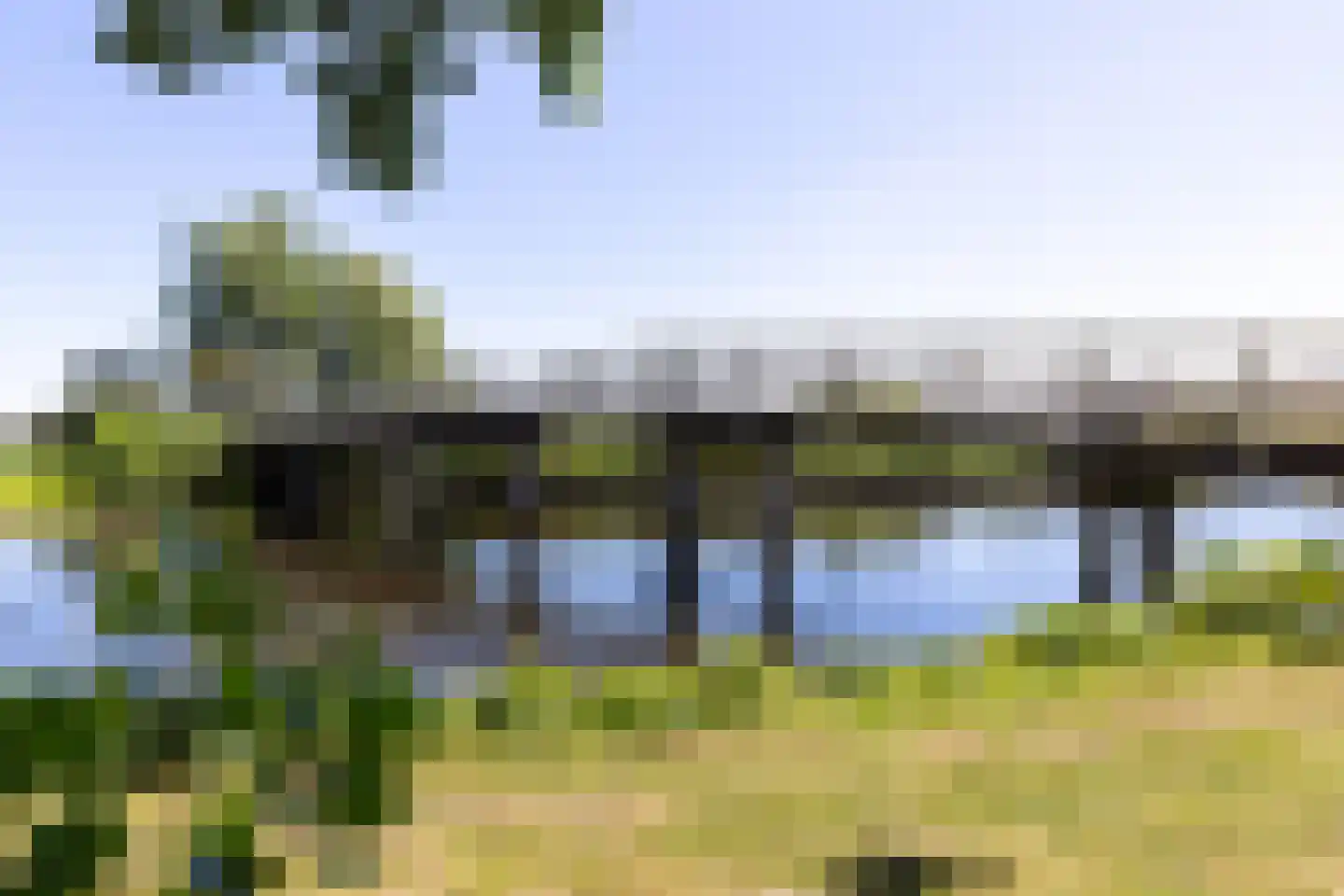 Terworm 22 Haarlem thumbnail 42