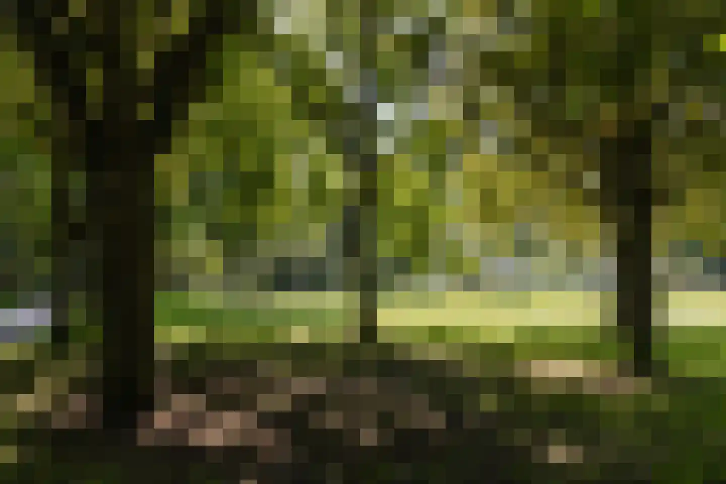 Terworm 22 Haarlem thumbnail 44