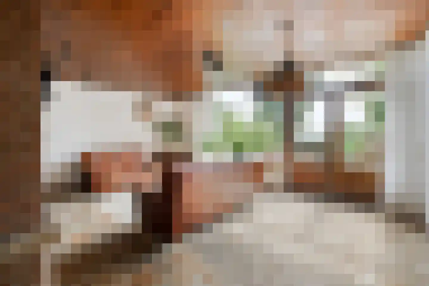 Terworm 22 Haarlem thumbnail 7