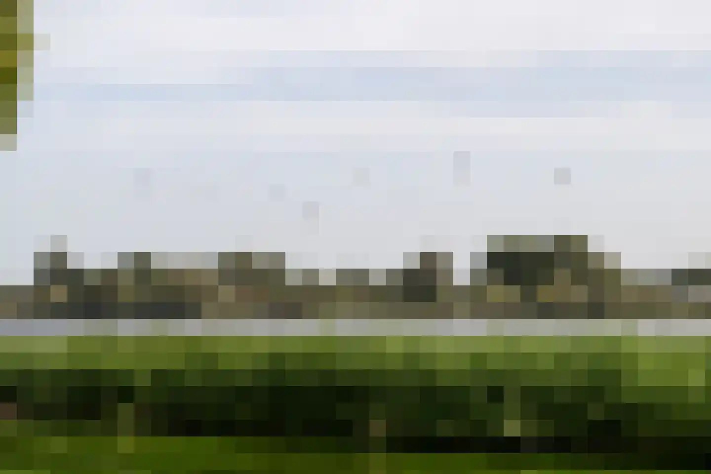 Terworm 22 Haarlem thumbnail 9