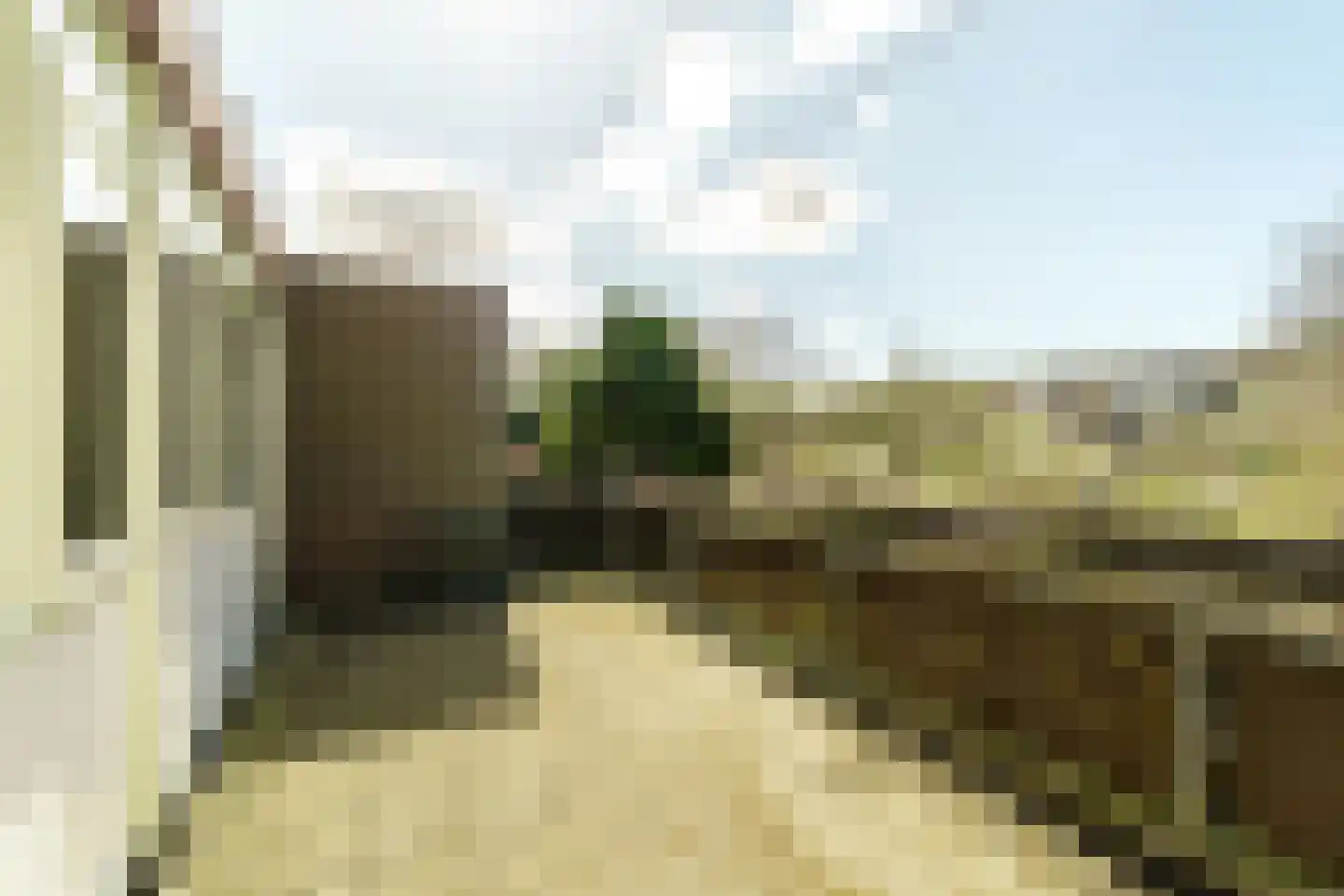 Terworm 8 Haarlem thumbnail 36