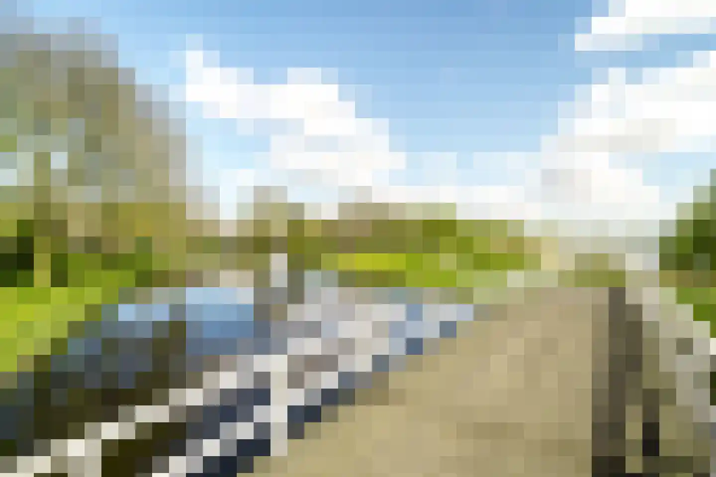 Terworm 8 Haarlem thumbnail 38