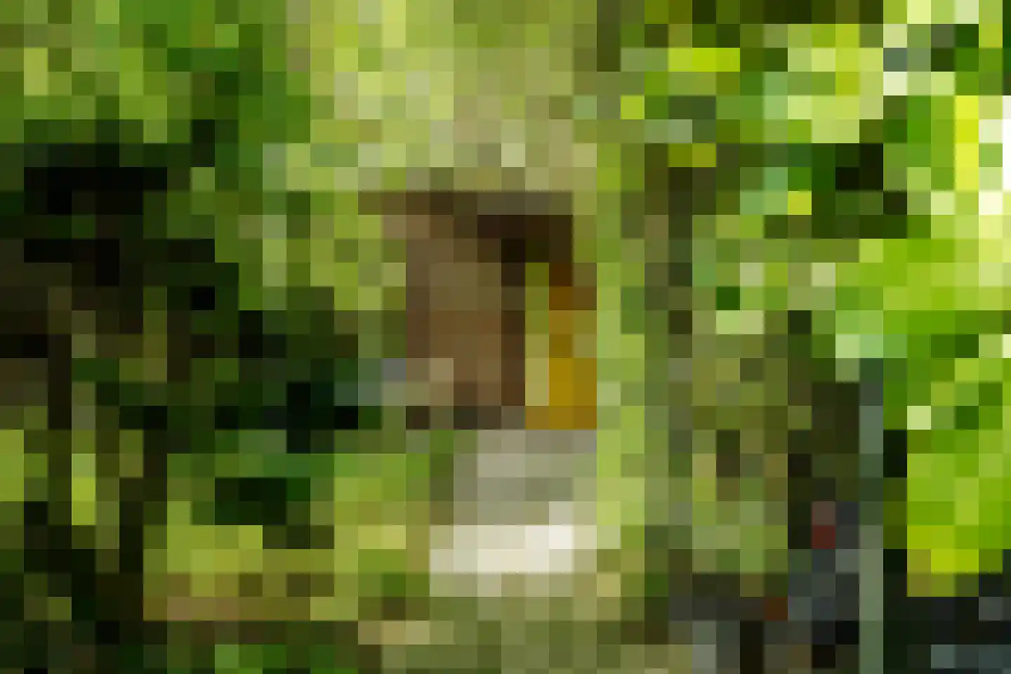 Terworm 8 Haarlem thumbnail 6