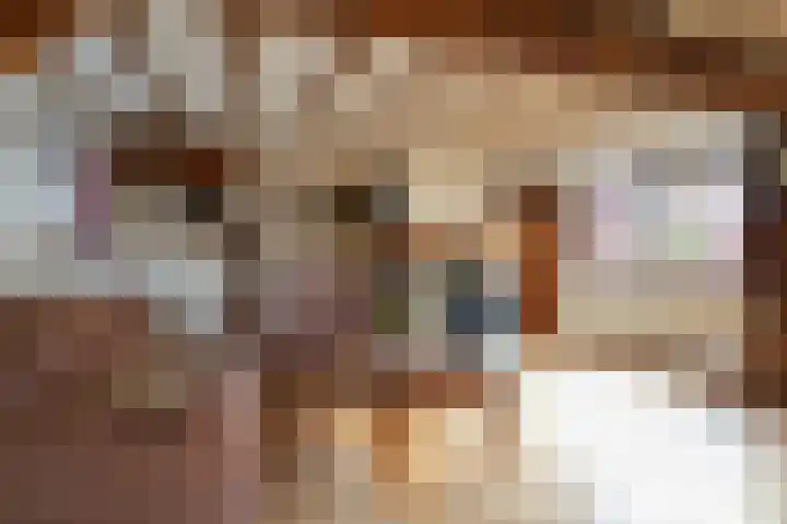 Terzieterweg 20 Epen thumbnail 13