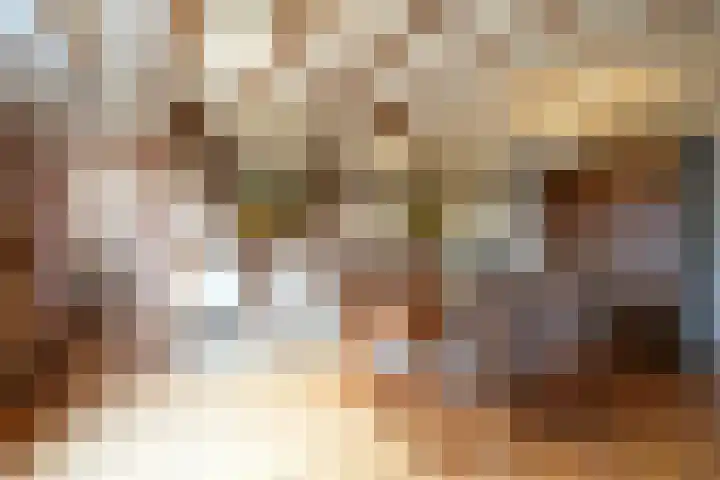 Terzieterweg 20 Epen thumbnail 16