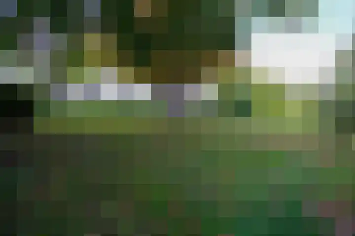 Terzieterweg 20 Epen thumbnail 34