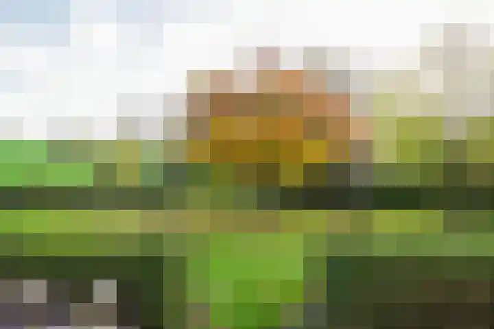 Terzieterweg 20 Epen thumbnail 35