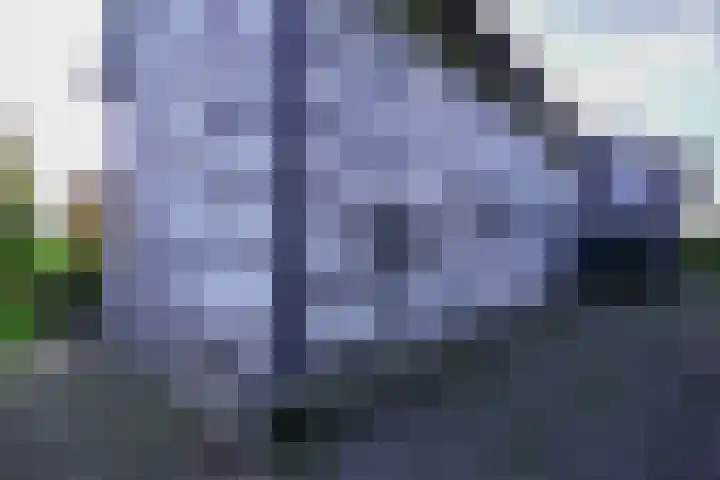 Terzieterweg 20 Epen thumbnail 39