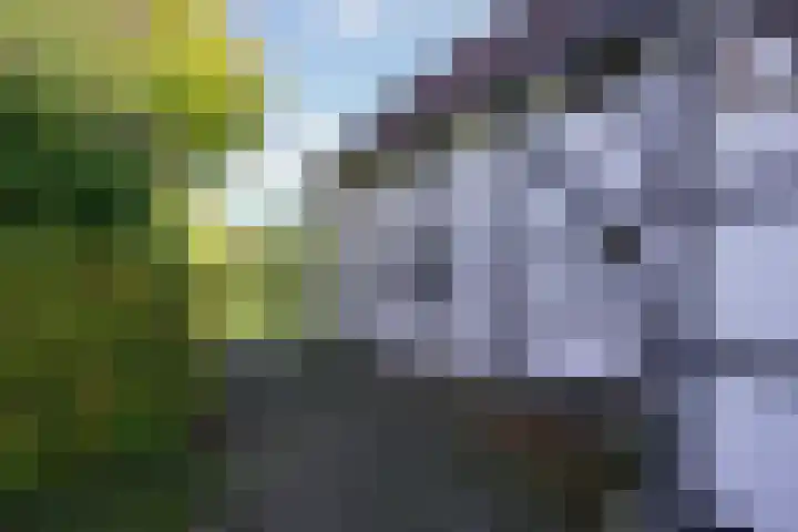 Terzieterweg 20 Epen thumbnail 41