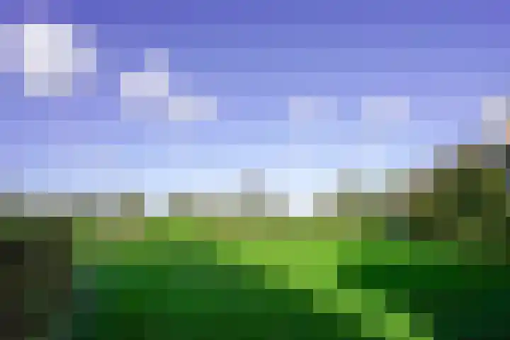 Terzieterweg 20 Epen thumbnail 45